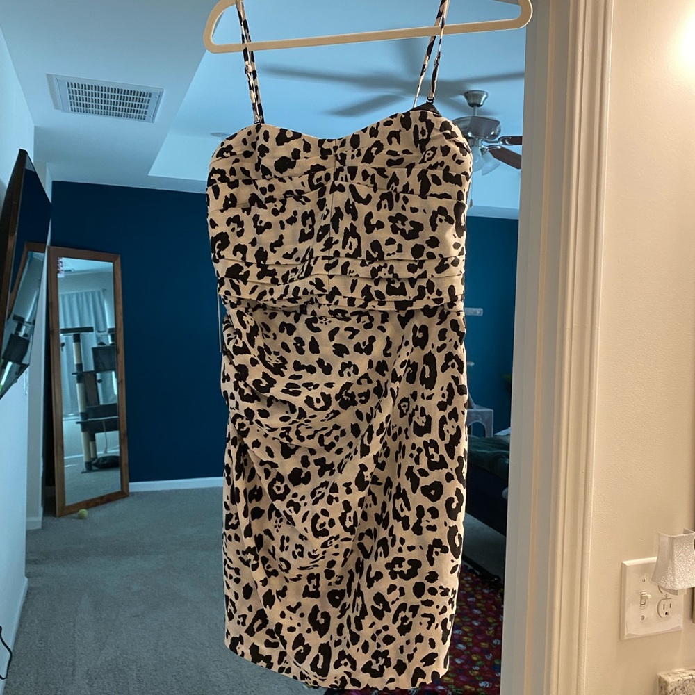 Express cheetah formal mini dress